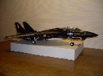 k-F-14 Tomcat (17).JPG

240,58 KB 
640 x 480 
18.03.2009
